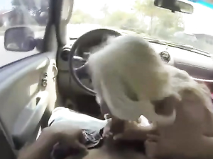 Bleach Blonde Cocksucker Blows Him In The Car