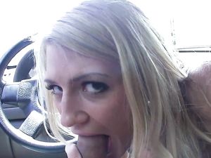 Cock Sucking In The Car And Doggy Style Pounding